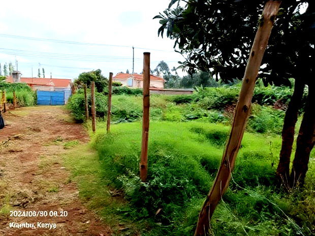 40/80 Plot on Sale in Kiambu Ting'ang'A