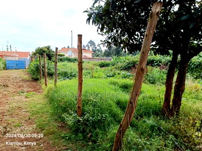 40/80 Plot on Sale in Kiambu Ting'ang'A - Image 6