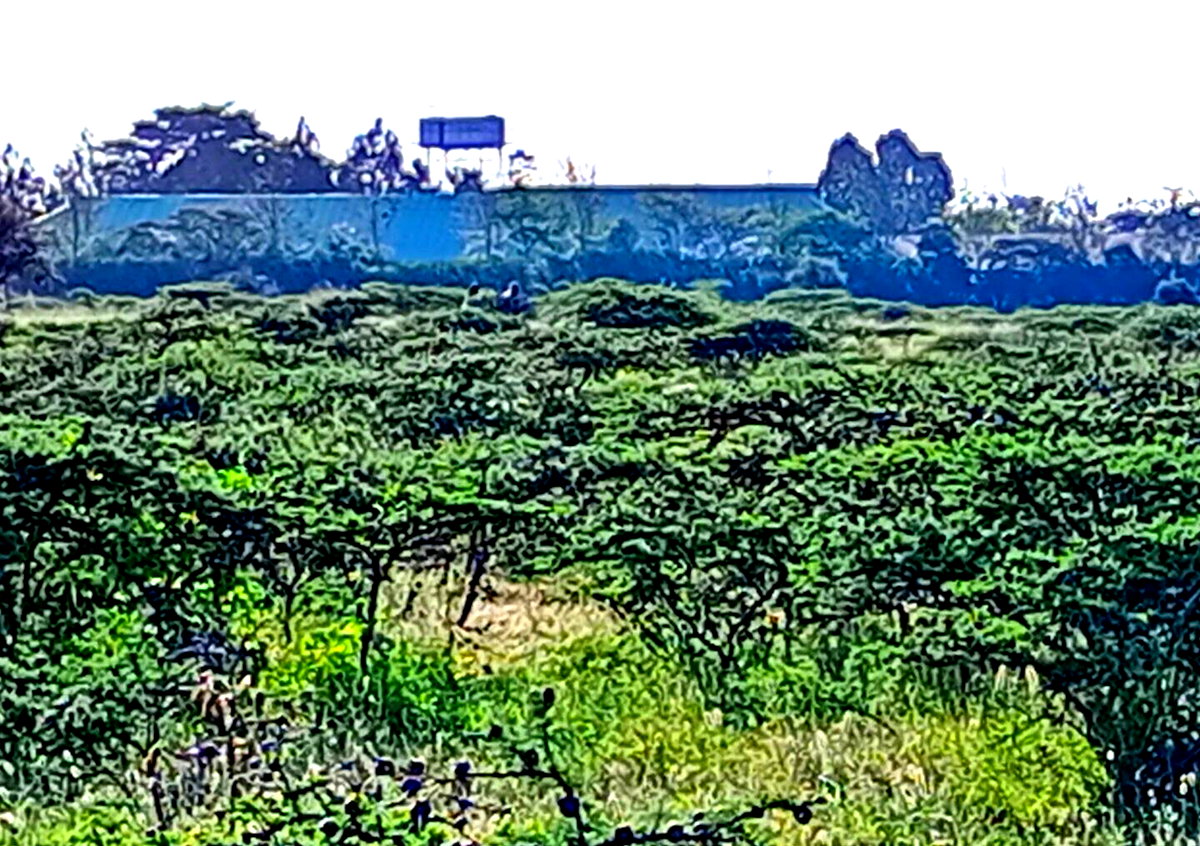 3-Acre Plot in Kajiado CBD