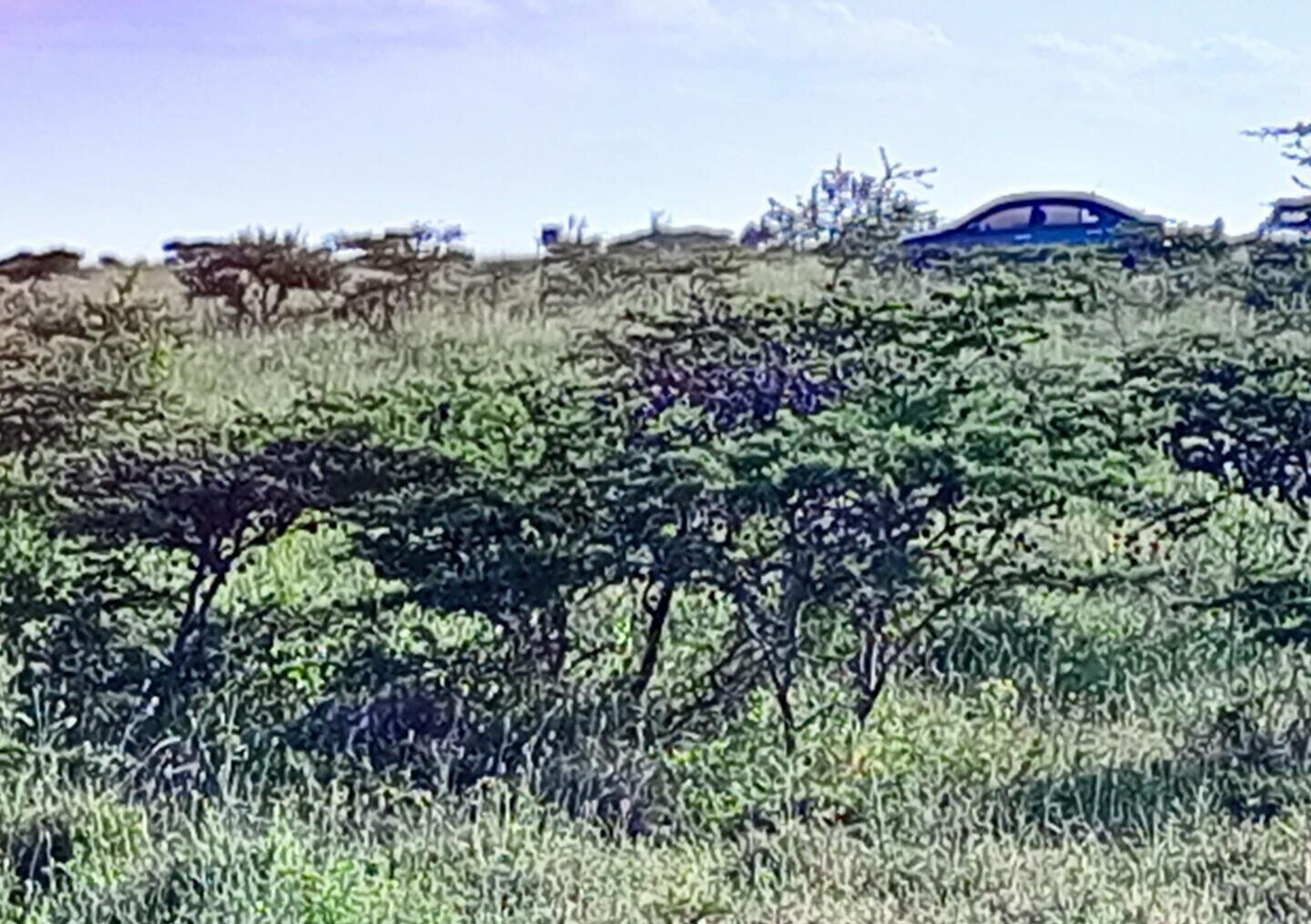 3-Acre Plot in Kajiado CBD