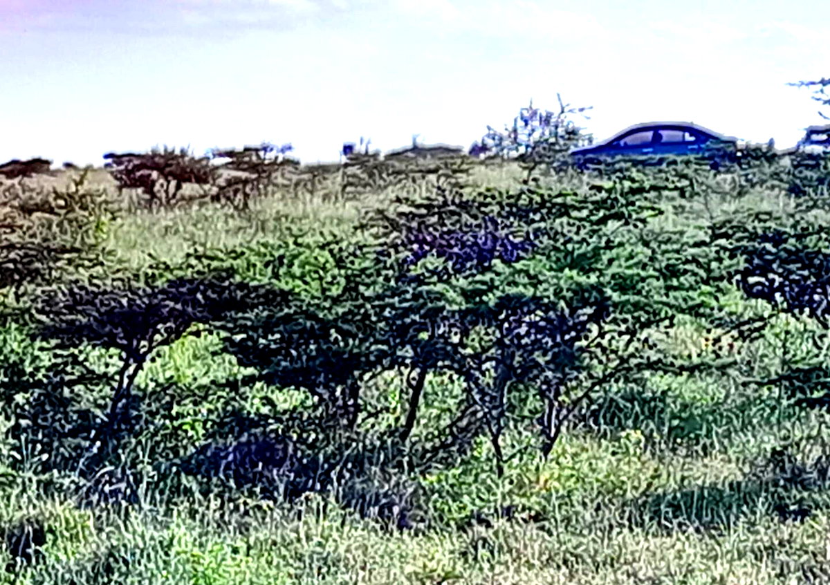 3-Acre Plot in Kajiado CBD