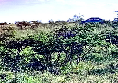 3-Acre Plot in Kajiado CBD