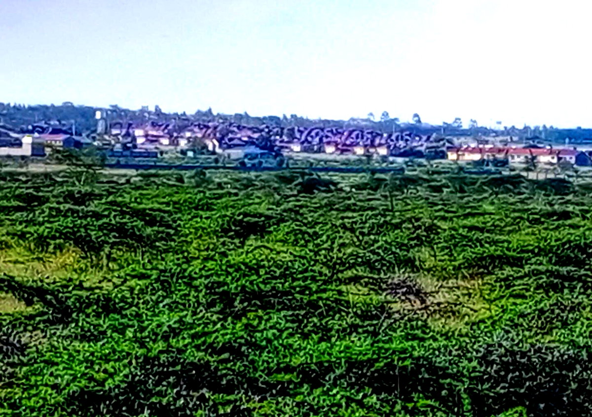 3-Acre Plot in Kajiado CBD