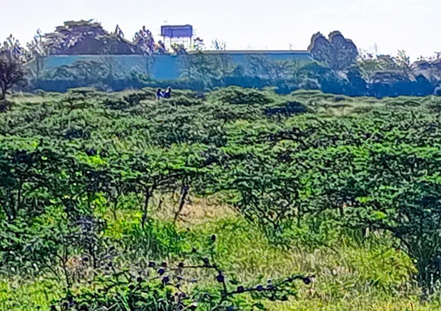 3-Acre Plot in Kajiado CBD