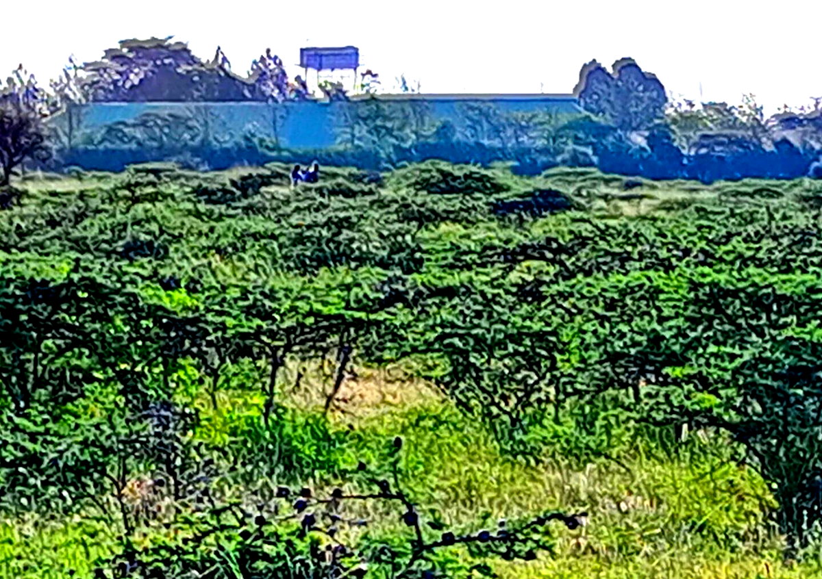 3-Acre Plot in Kajiado CBD