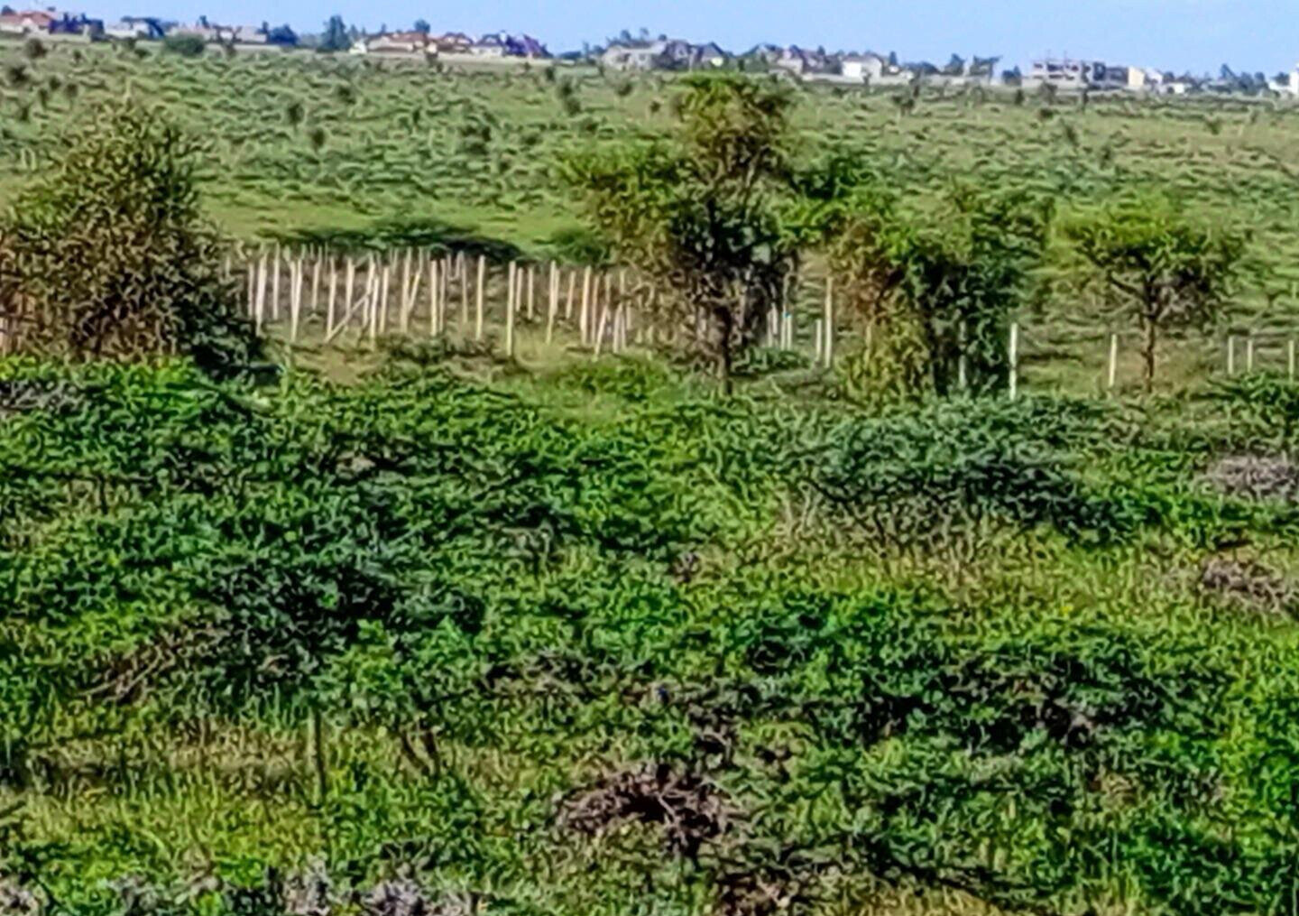 3-Acre Plot in Kajiado CBD
