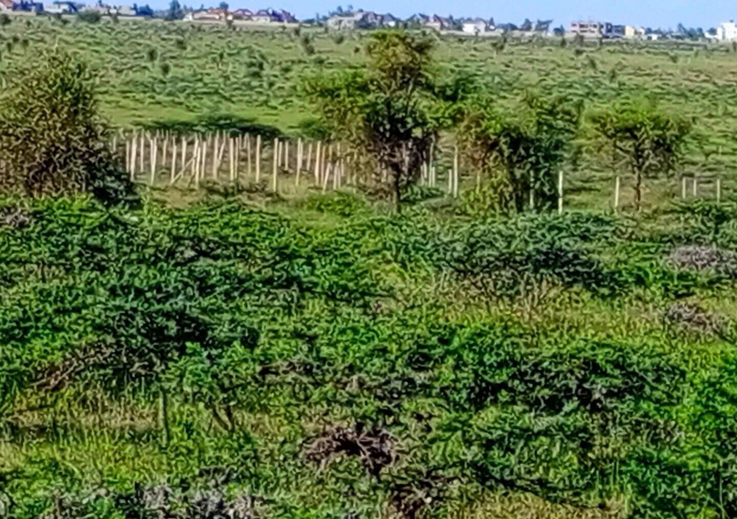 3-Acre Plot in Kajiado CBD