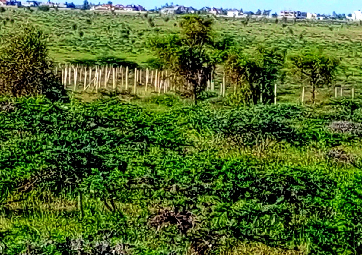 3-Acre Plot in Kajiado CBD