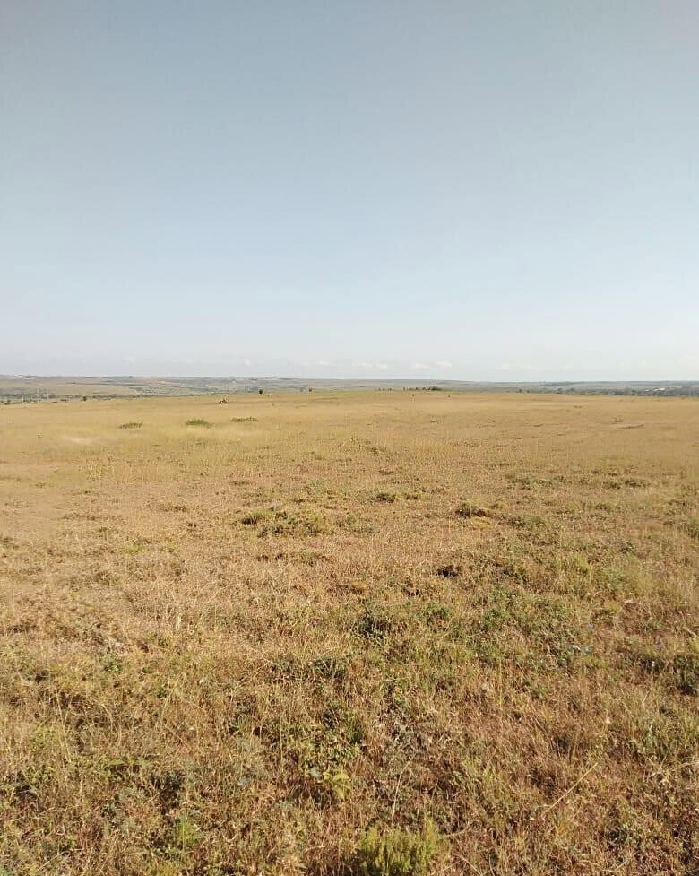 43-Acre Farm with Borehole - KSh 3.7M