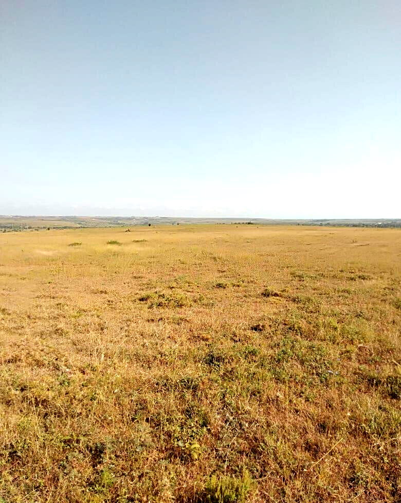 43-Acre Farm with Borehole - KSh 3.7M