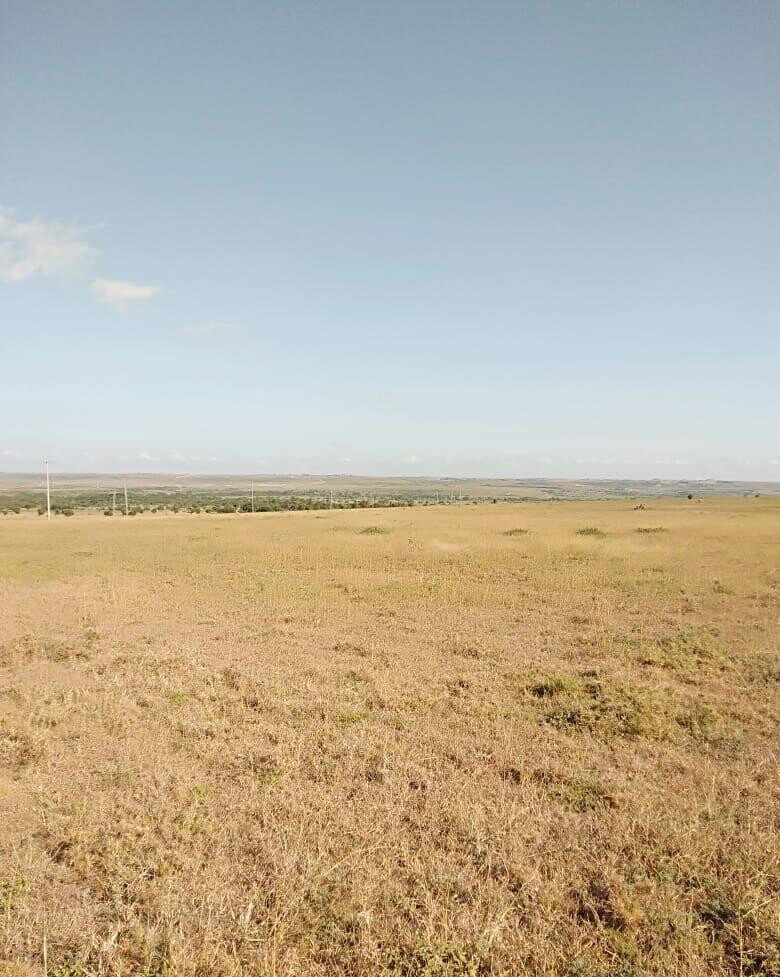 43-Acre Farm with Borehole - KSh 3.7M