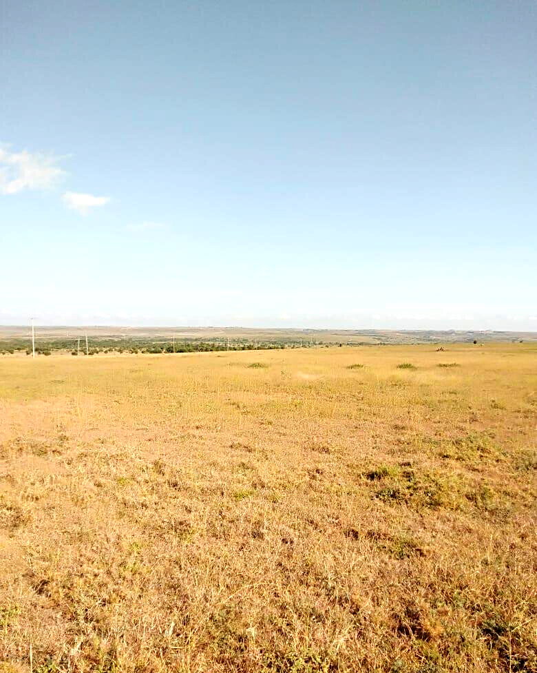 43-Acre Farm with Borehole - KSh 3.7M