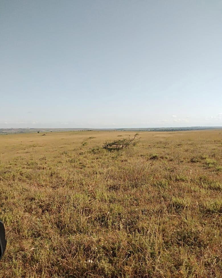 43-Acre Farm with Borehole - KSh 3.7M