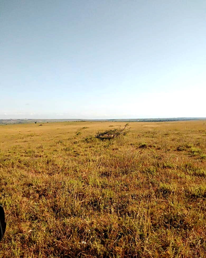 43-Acre Farm with Borehole - KSh 3.7M