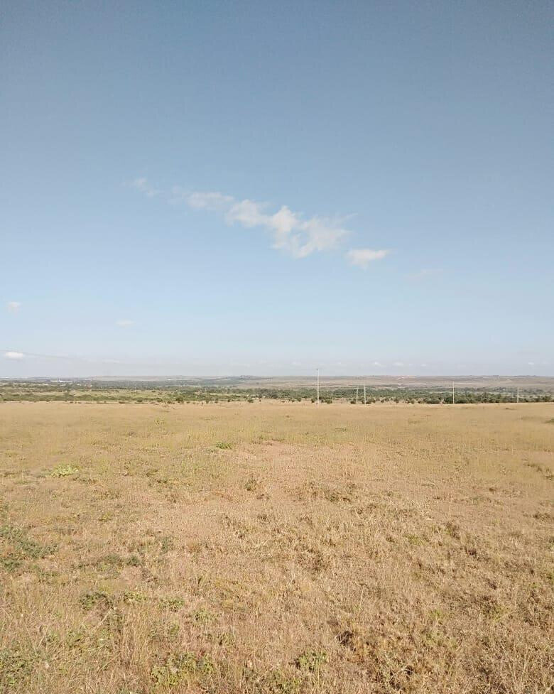 43-Acre Farm with Borehole - KSh 3.7M