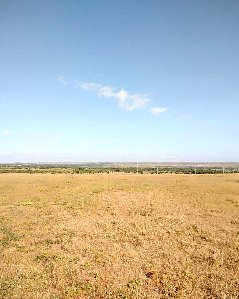 43-Acre Farm with Borehole - KSh 3.7M