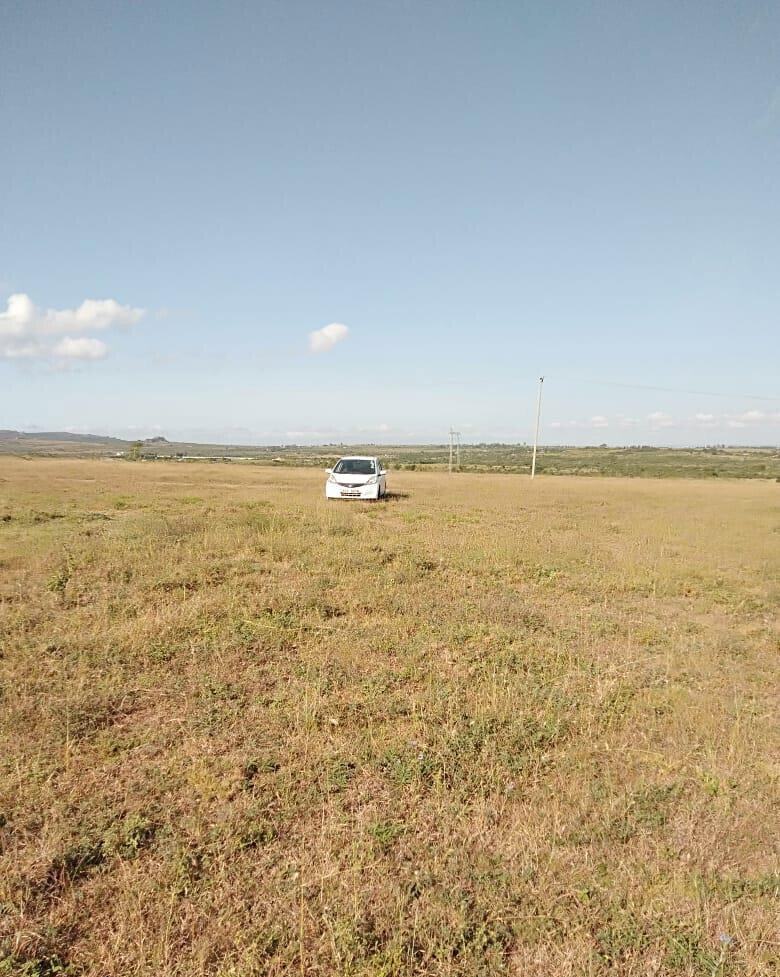43-Acre Farm with Borehole - KSh 3.7M
