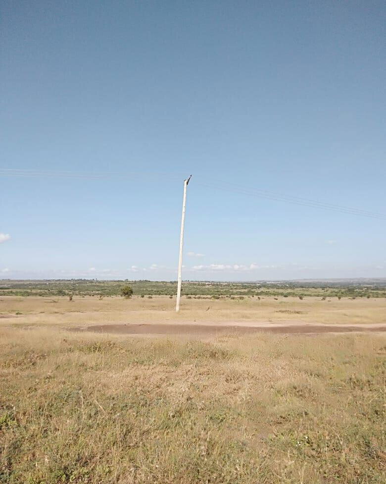 43-Acre Farm with Borehole - KSh 3.7M
