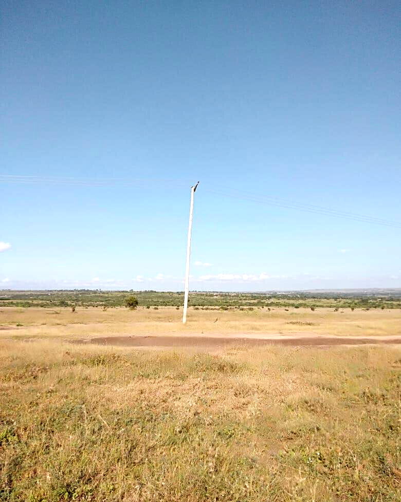43-Acre Farm with Borehole - KSh 3.7M