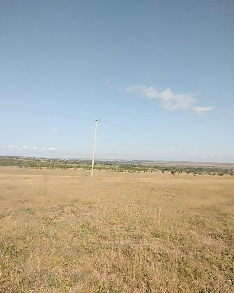 43-Acre Farm with Borehole - KSh 3.7M