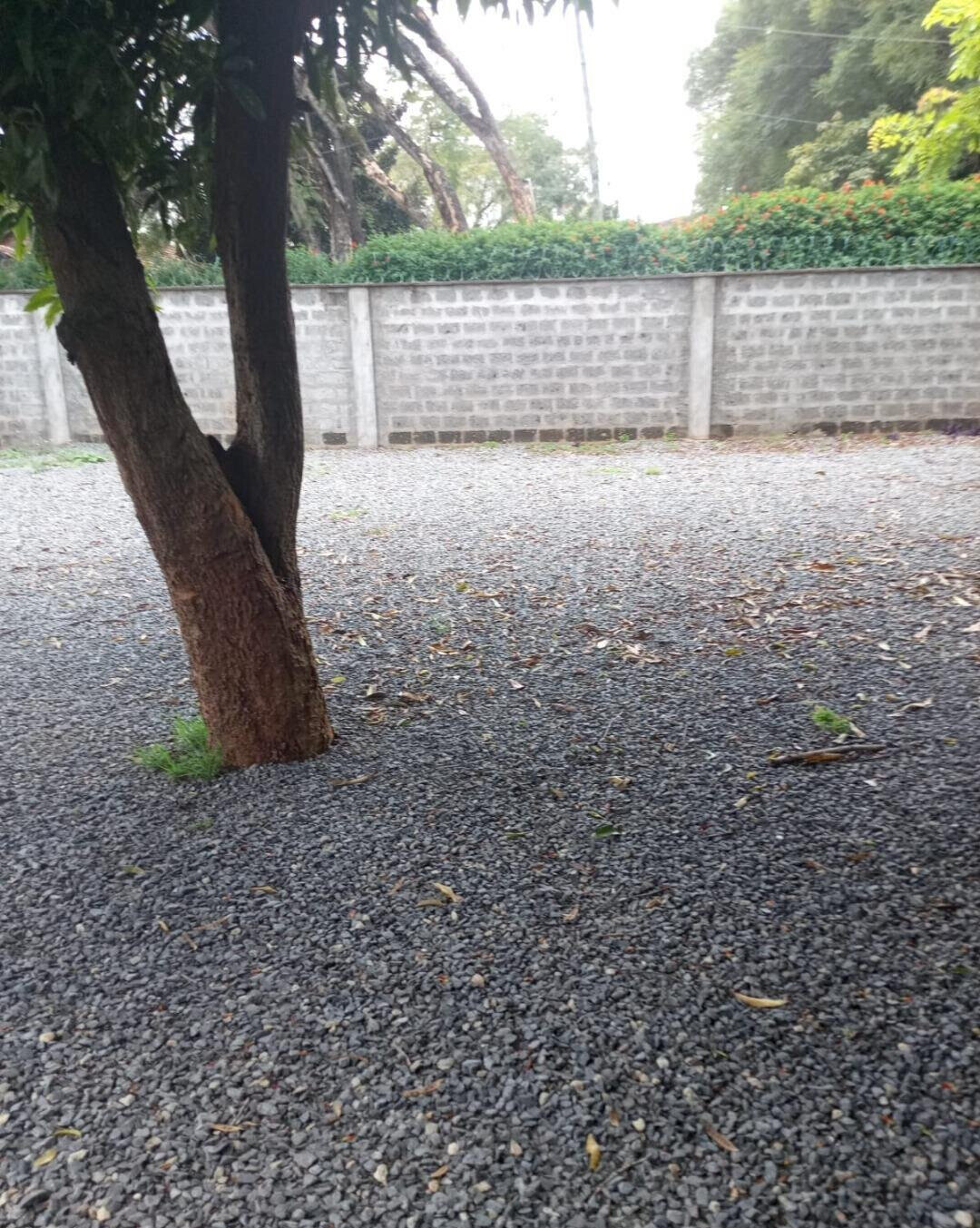 1 Acre Lavington Plot with Garden