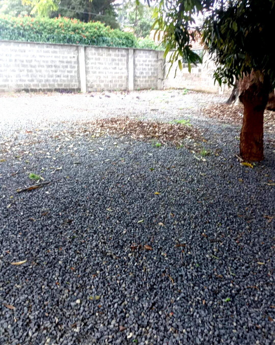 1 Acre Lavington Plot with Garden