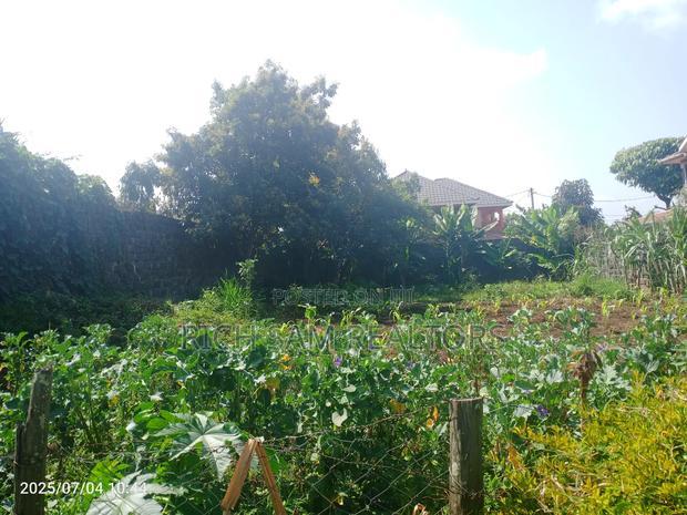 50/100 Plot on Sale Kiamunyi Olivin Centre