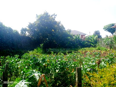 50/100 Plot on Sale Kiamunyi Olivin Centre - Image 4