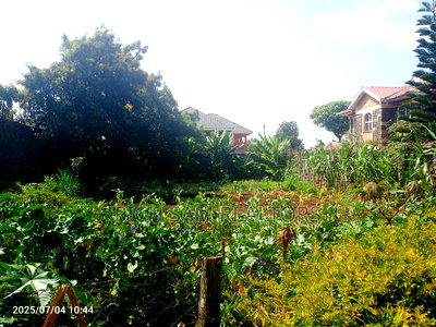 50/100 Plot on Sale Kiamunyi Olivin Centre - Image 11