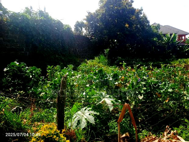 50/100 Plot on Sale Kiamunyi Olivin Centre