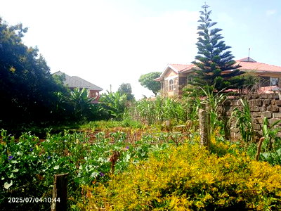 50/100 Plot on Sale Kiamunyi Olivin Centre - Image 10
