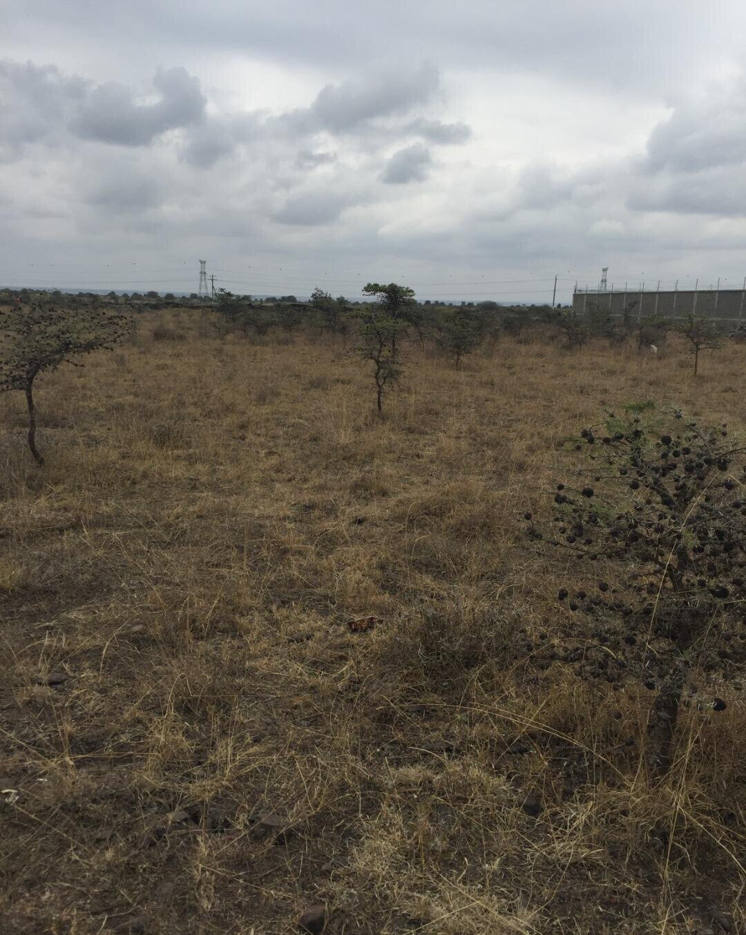 KSh 23M Syokimau Plot