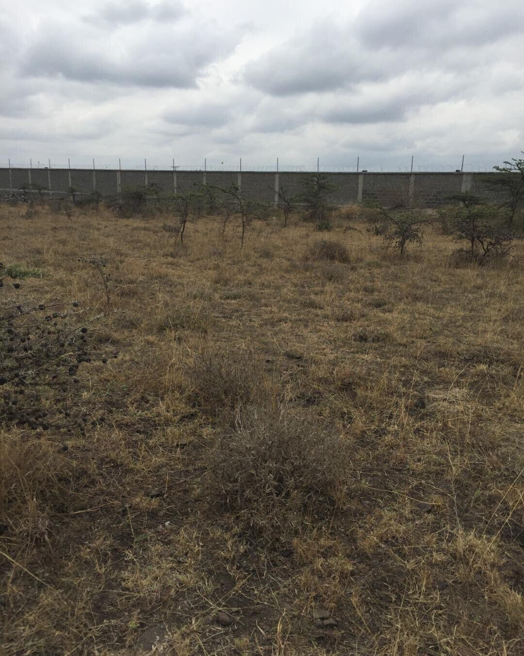 KSh 23M Syokimau Plot