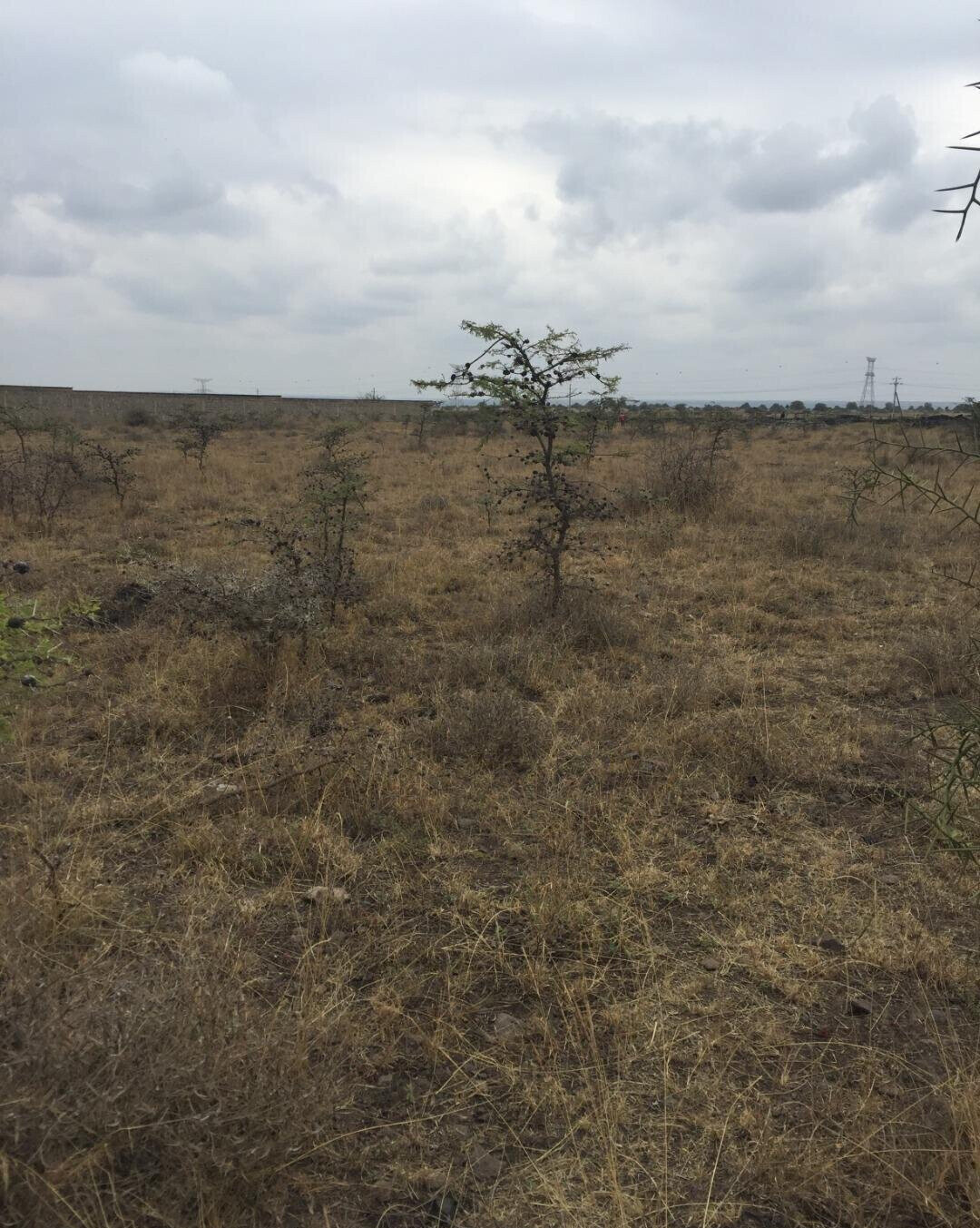 KSh 23M Syokimau Plot