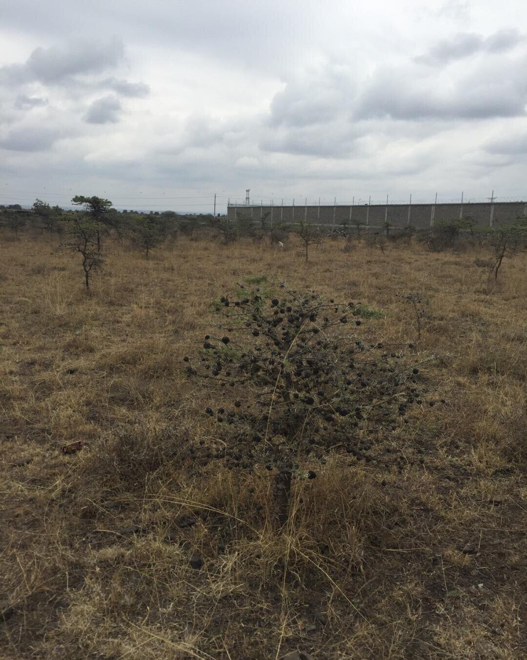 KSh 23M Syokimau Plot