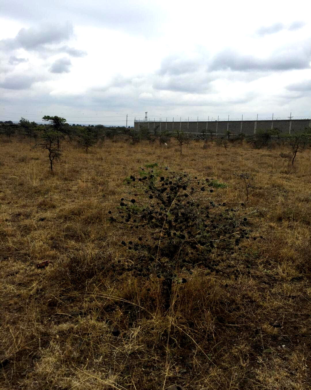 KSh 23M Syokimau Plot