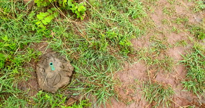 Quarter Acre in Karen at KSh 9M