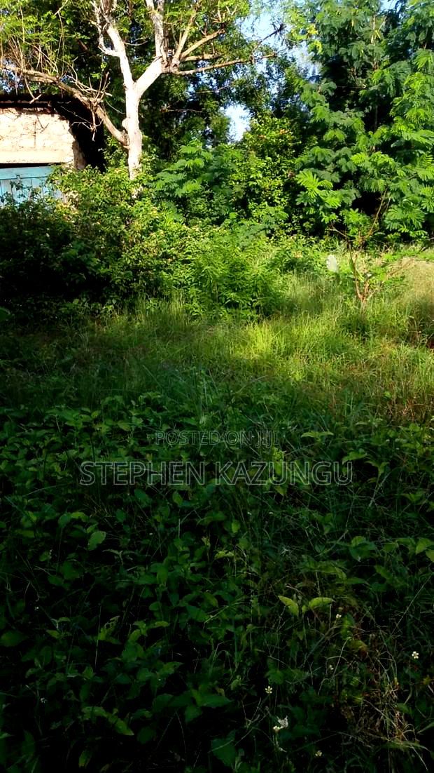 1/4 Acre Plot With Water Tower Ready on Power in the Plot