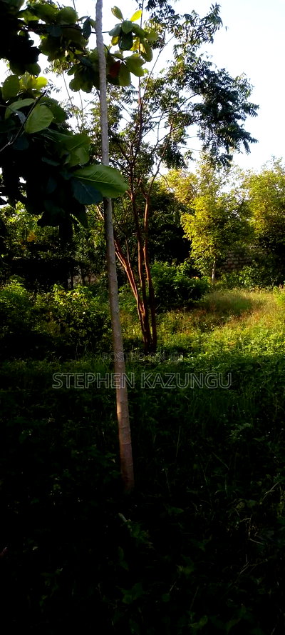 1/4 Acre Plot With Water Tower Ready on Power in the Plot - Image 6