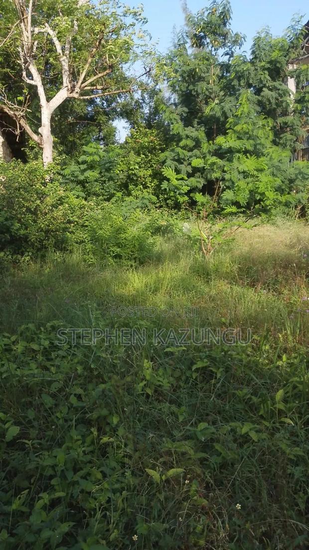 1/4 Acre Plot With Water Tower Ready on Power in the Plot