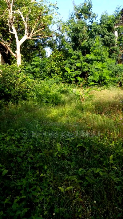 1/4 Acre Plot With Water Tower Ready on Power in the Plot - Image 1