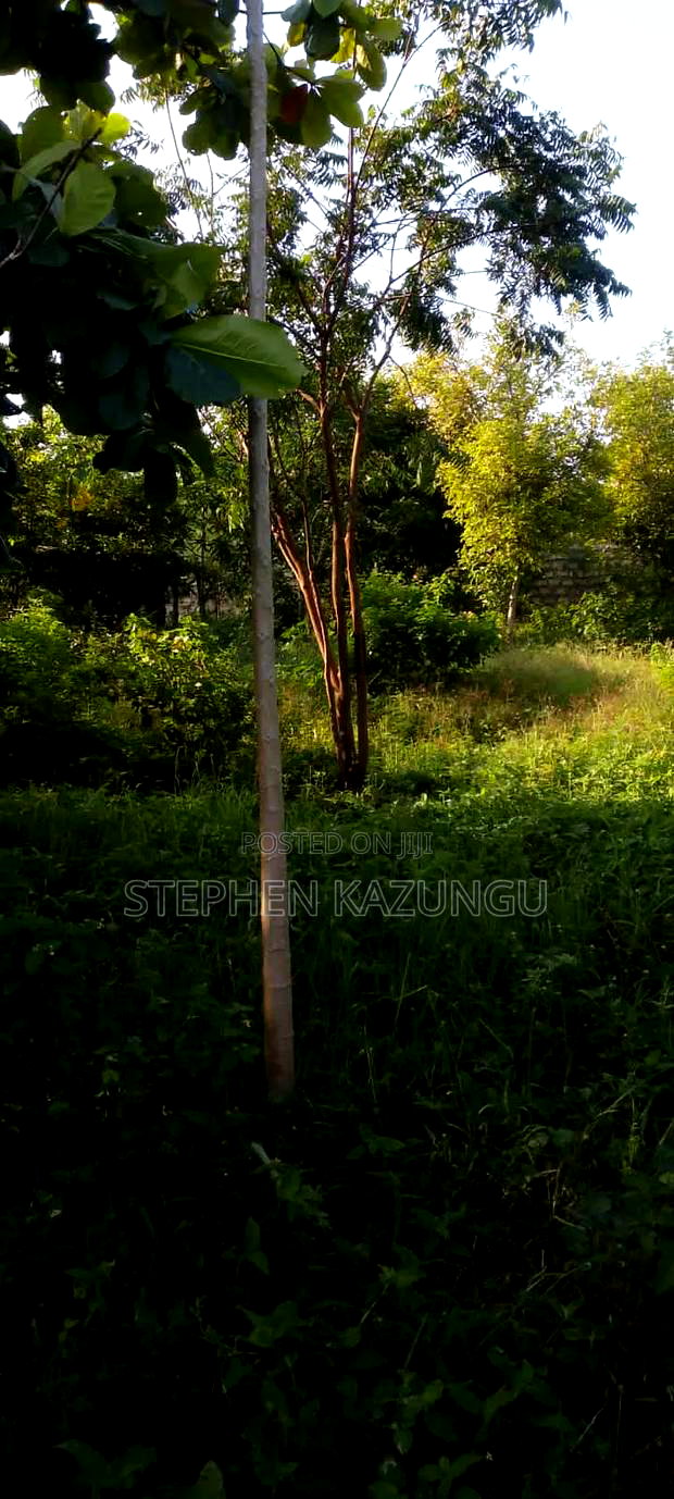 1/4 Acre Plot With Water Tower Ready on Power in the Plot