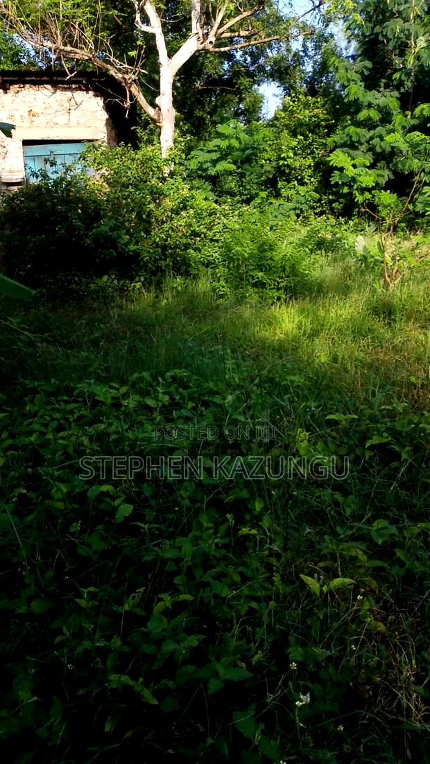 1/4 Acre Plot With Water Tower Ready on Power in the Plot