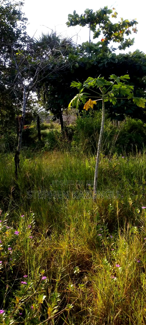 1/4 Acre Plot With Water Tower Ready on Power in the Plot