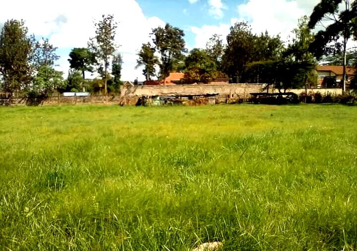 KSh 58M Karen Plot