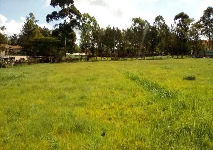 KSh 58M Karen Plot