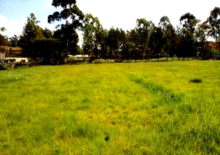 KSh 58M Karen Plot