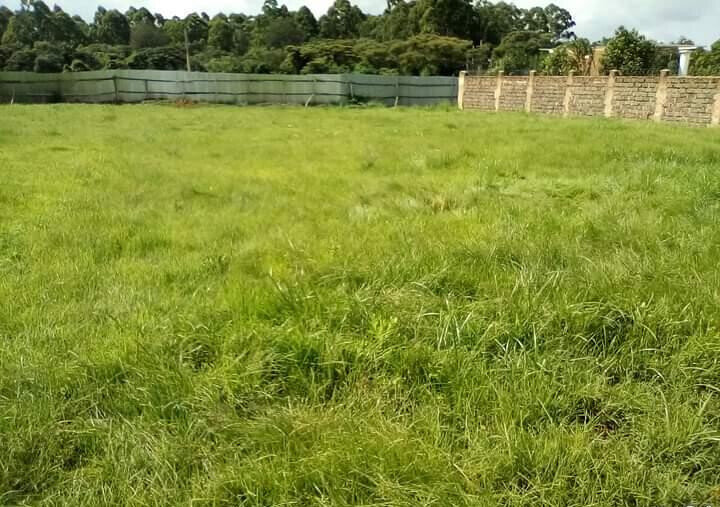 KSh 58M Karen Plot