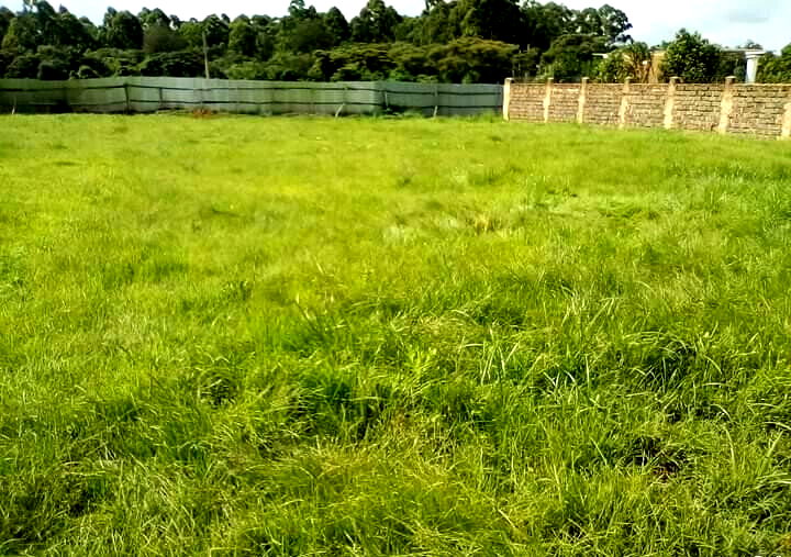 KSh 58M Karen Plot
