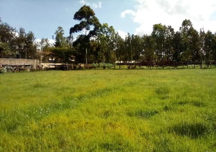 KSh 58M Karen Plot